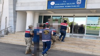 Şanlıurfa jandarması göçmen kaçakçılarını mercek altına aldı