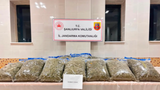 Şanlıurfa'nın da dahil olduğu operasyonda 80 tutuklama
