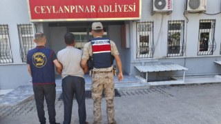 10 yıl hapis cezası bulunan firari Ceylanpınar’da yakalandı