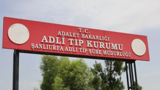 Akçakale'de otomobilin çarptığı çocuk hayatını kaybetti!
