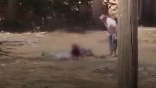 Şanlıurfa’da kan donduran olay: 85 yaşındaki annesini sopayla dövdü