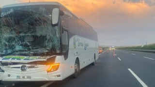 Urfa'da yolcu otobüsü tıra çarptı