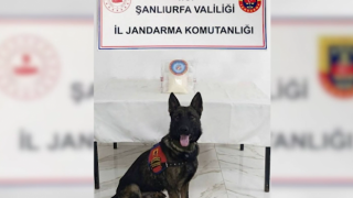 Birecik’te uyuşturucu operasyonu