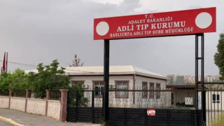 Eyyübiye’de otomobil koyun sürüsüne daldı: Çoban hayatını kaybetti