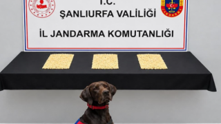 Eyyübiye’de jandarmadan baskın! Binlerce captagon hap ele geçirildi