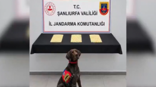 Şanlıurfa dahil 32 ilde uyuşturucu operasyonu!