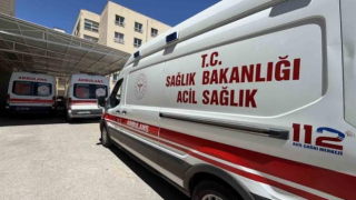 Şanlıurfa’da otomobil ağaca çarptı: 3 yaralı