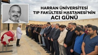 Urfa’da doktorun acı sonu: Evinde ölü bulundu